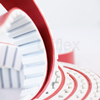 highest standard pu belt exporter